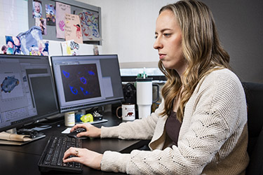 photo of a student working on a computer